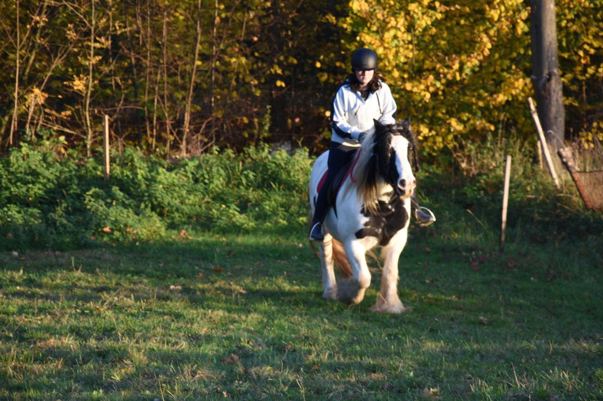 Chalupa U Soni Razova Extérieur photo